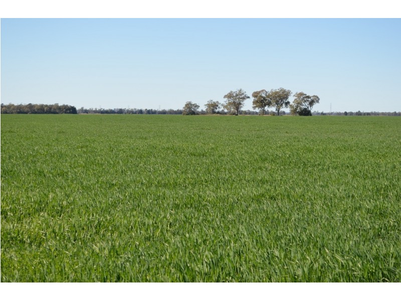 0 Campbells Road, Punchs Creek QLD 4357