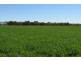 0 Campbells Road, Punchs Creek QLD 4357