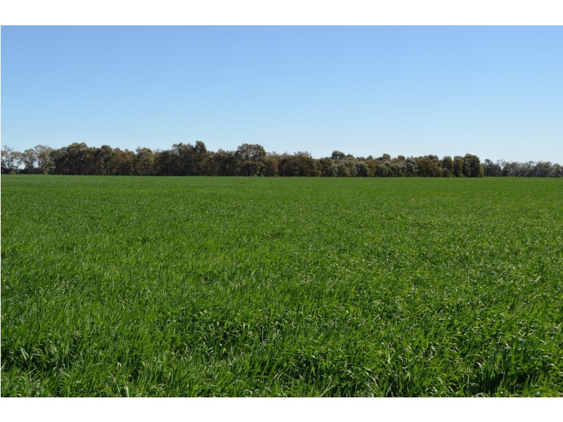 0 Campbells Road, Punchs Creek QLD 4357