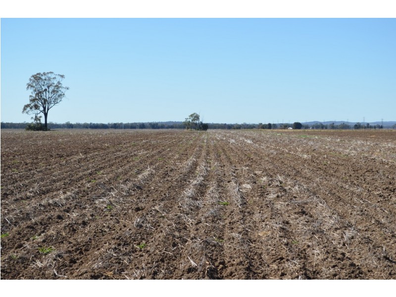 0 Campbells Road, Punchs Creek QLD 4357