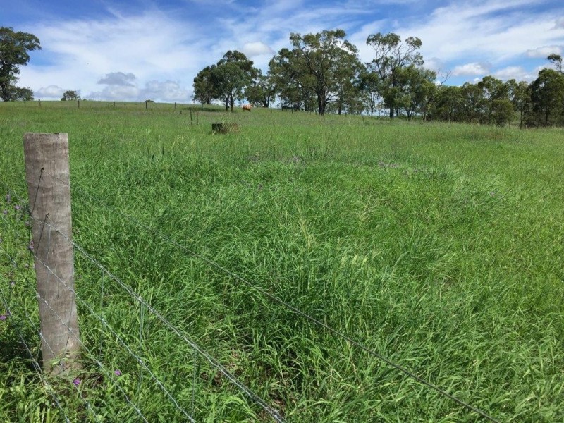 472 Hodgson Vale Road, Hodgson Vale QLD 4352