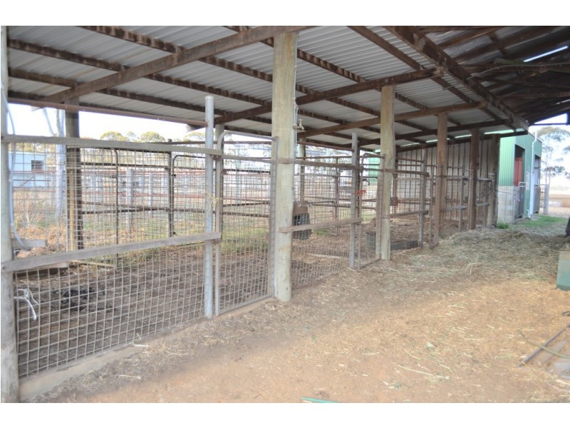 3/13295 New England Highway, Cambooya QLD 4358