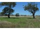 235 CLIFTON ROAD, Pittsworth QLD 4356
