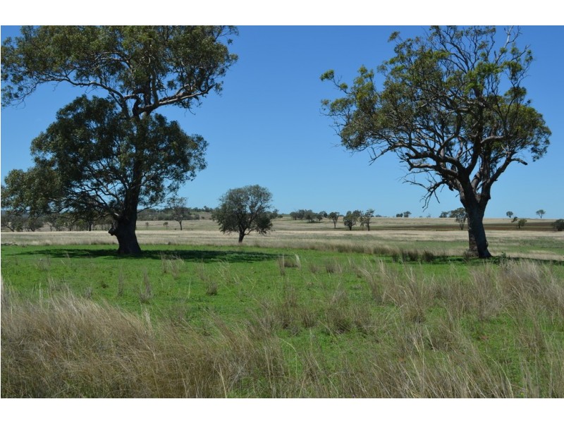 235 CLIFTON ROAD, Pittsworth QLD 4356