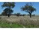 235 CLIFTON ROAD, Pittsworth QLD 4356
