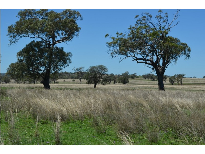 235 CLIFTON ROAD, Pittsworth QLD 4356
