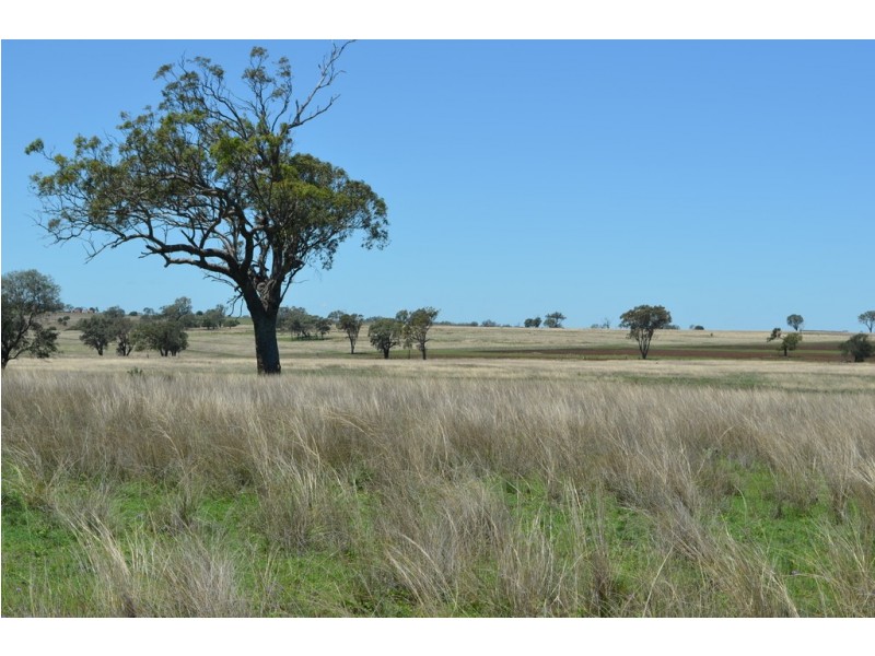 235 CLIFTON ROAD, Pittsworth QLD 4356