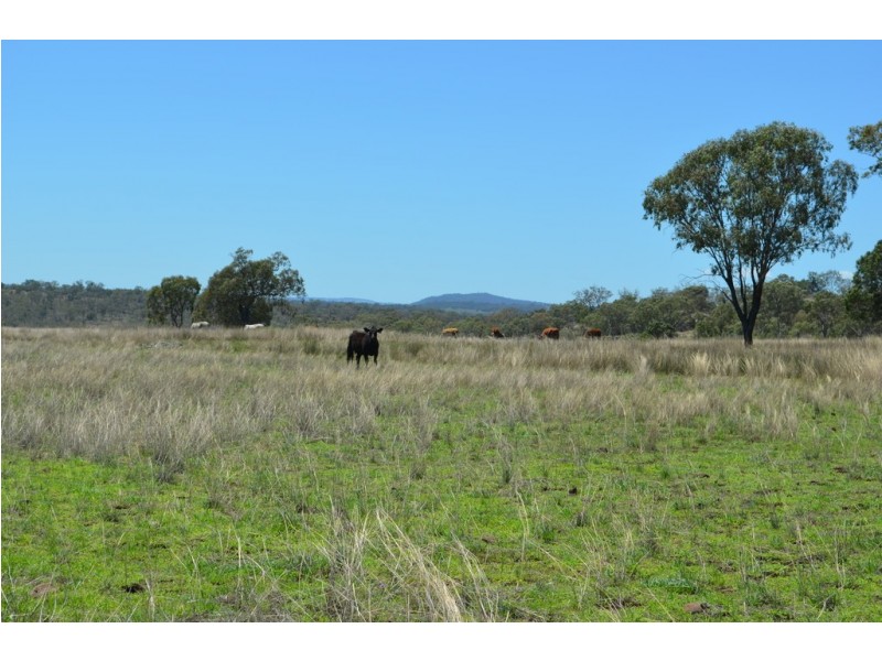 235 CLIFTON ROAD, Pittsworth QLD 4356