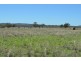 235 CLIFTON ROAD, Pittsworth QLD 4356