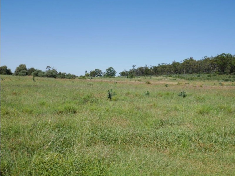6402 CECIL PLAINS ROAD, Weir River QLD 4406