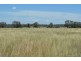 6402 CECIL PLAINS ROAD, Weir River QLD 4406