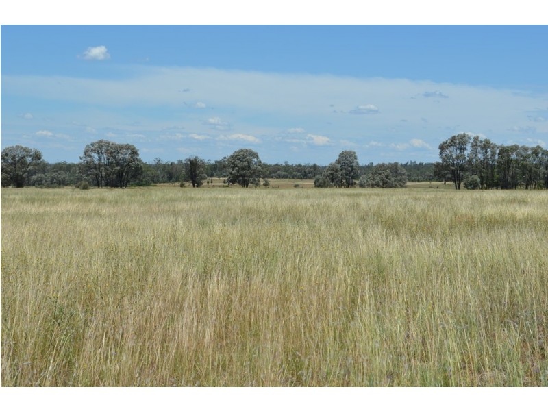 6402 CECIL PLAINS ROAD, Weir River QLD 4406