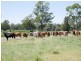 6402 CECIL PLAINS ROAD, Weir River QLD 4406