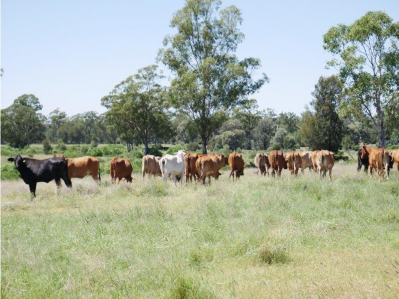 6402 CECIL PLAINS ROAD, Weir River QLD 4406