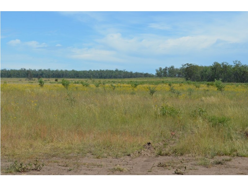 6402 CECIL PLAINS ROAD, Weir River QLD 4406