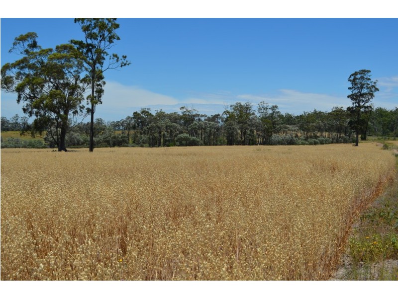 6402 CECIL PLAINS ROAD, Weir River QLD 4406