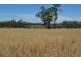6402 CECIL PLAINS ROAD, Weir River QLD 4406