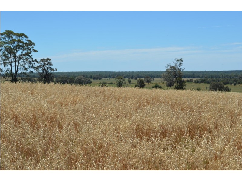 6402 CECIL PLAINS ROAD, Weir River QLD 4406