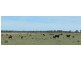 6402 CECIL PLAINS ROAD, Weir River QLD 4406