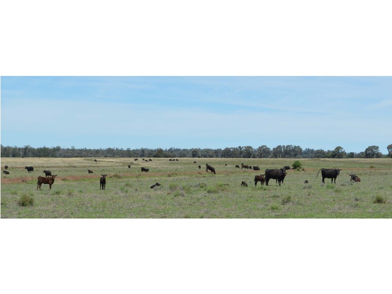 6402 CECIL PLAINS ROAD, Weir River QLD 4406