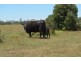 6402 CECIL PLAINS ROAD, Weir River QLD 4406