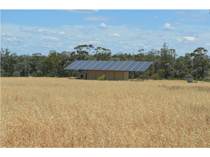 6402 CECIL PLAINS ROAD, Weir River QLD 4406
