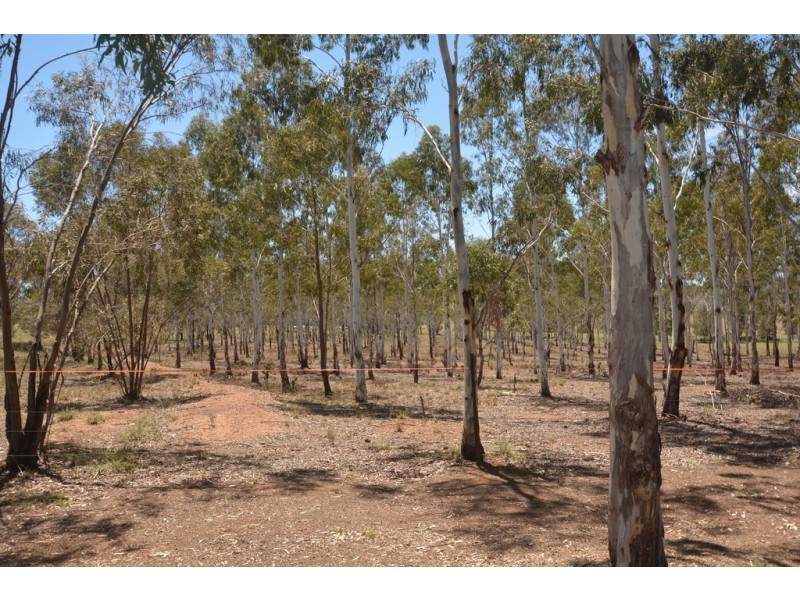 144 BRADLEYS ROAD, Bell QLD 4408