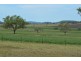 1168 Cudmore Road, Nobby QLD 4360