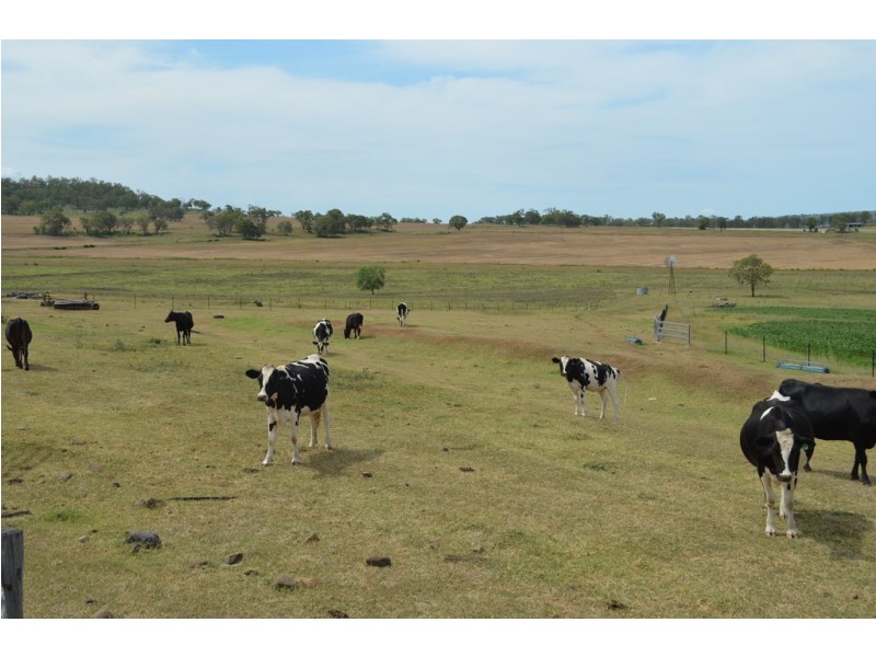 1168 Cudmore Road, Nobby QLD 4360