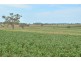 1168 Cudmore Road, Nobby QLD 4360