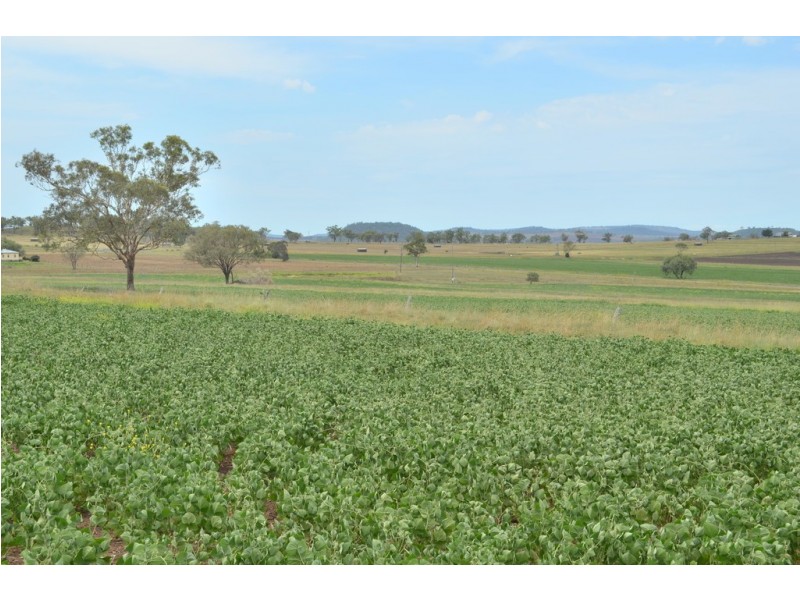 1168 Cudmore Road, Nobby QLD 4360