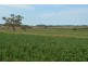 1168 Cudmore Road, Nobby QLD 4360