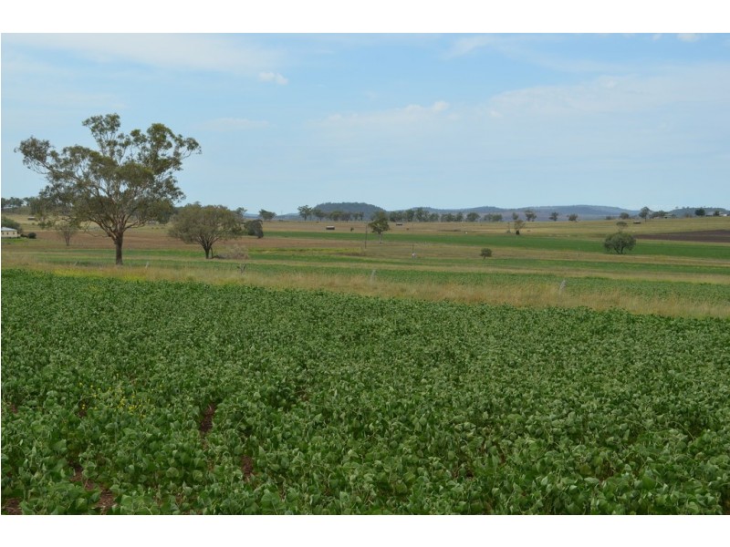 1168 Cudmore Road, Nobby QLD 4360