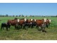 164 Palmer Road, Nobby QLD 4360