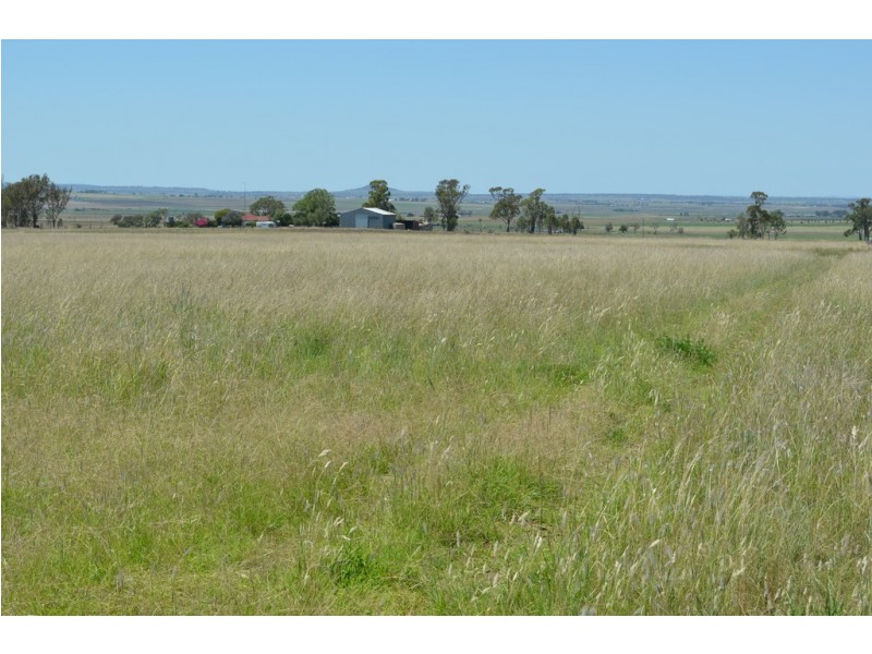 164 Palmer Road, Nobby QLD 4360