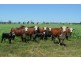164 Palmer Road, Nobby QLD 4360