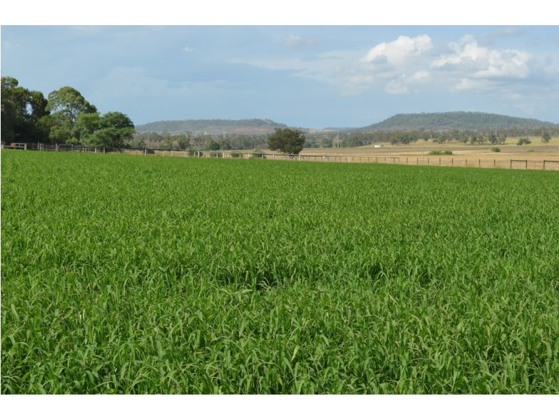 50 Newton Road, Athol QLD 4350
