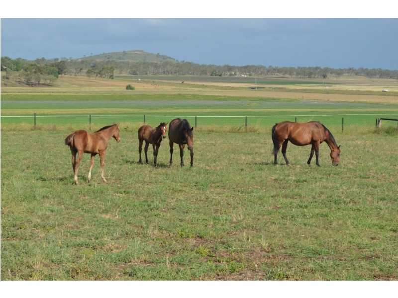 50 Newton Road, Athol QLD 4350