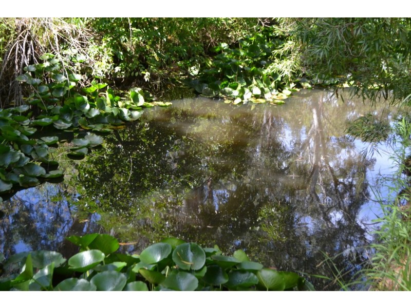 7a Creek Street, Crows Nest QLD 4355