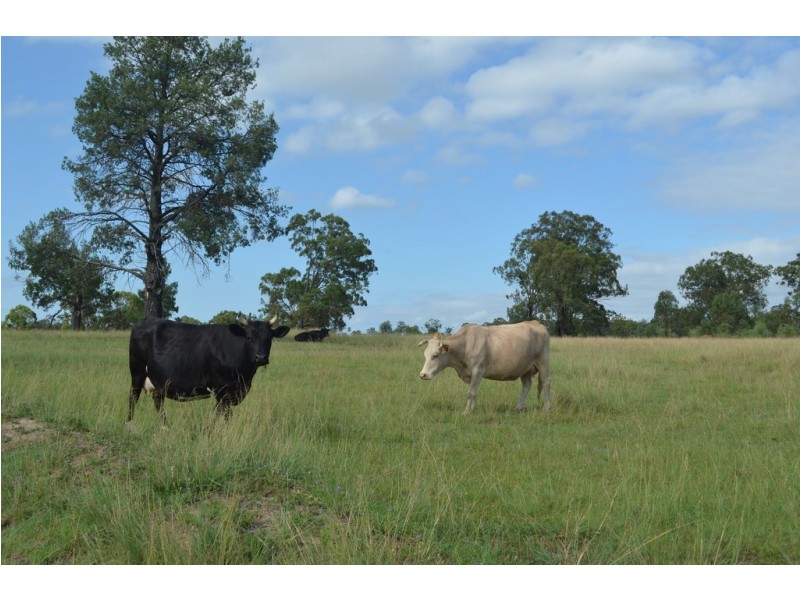 6266 Toowoomba Karara Road, Leyburn QLD 4365