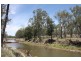 Lot 3 Caliguel Street, Condamine QLD 4416
