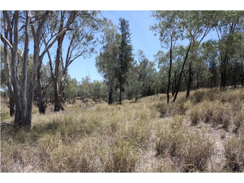 Lot 3 Caliguel Street, Condamine QLD 4416