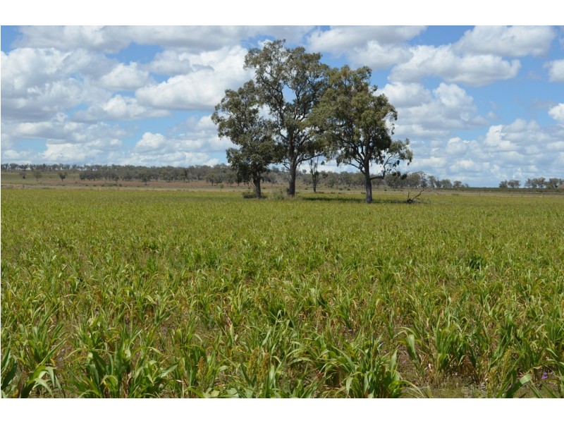 0 Malu-Bowenville Road, Malu QLD 4403