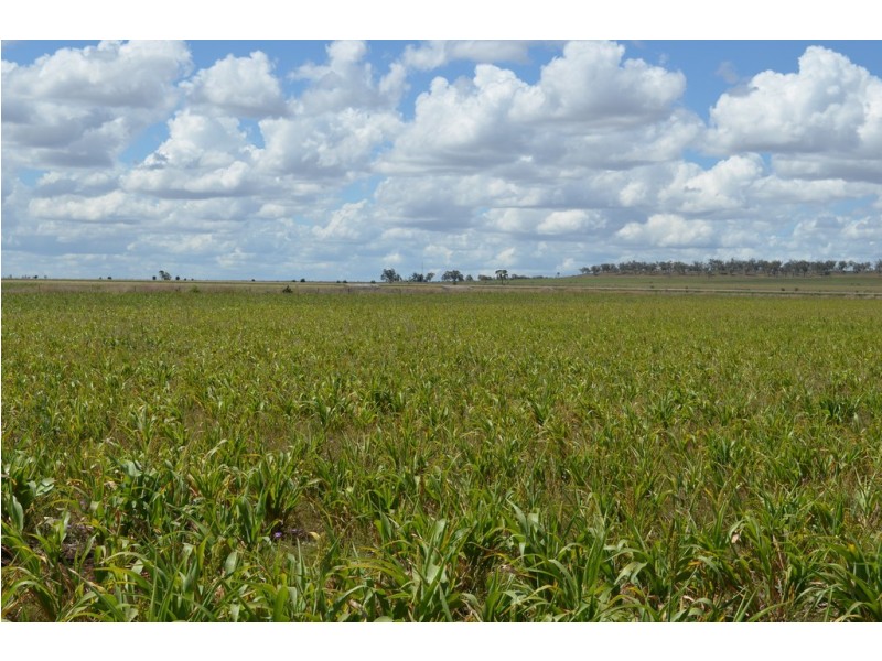 0 Malu-Bowenville Road, Malu QLD 4403