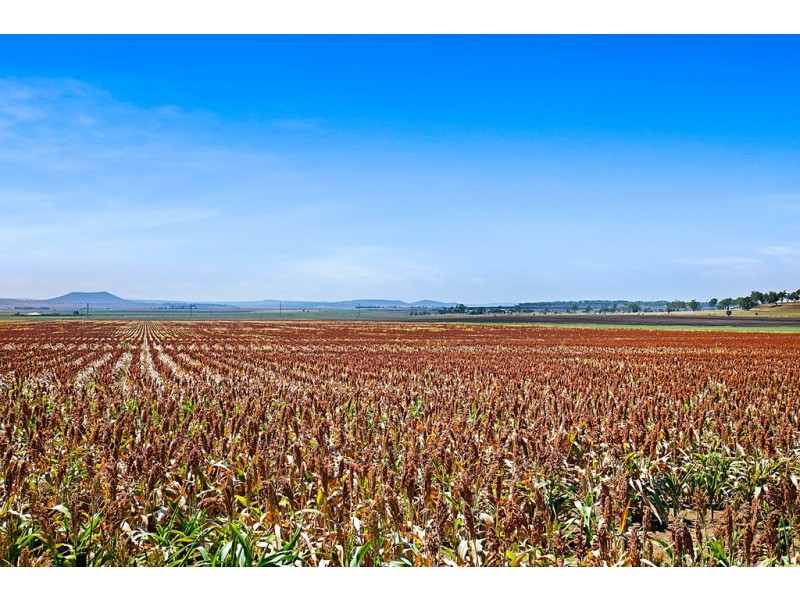 235 Oakey-Crosshill Road, Oakey QLD 4401