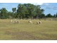 Karara QLD 4352