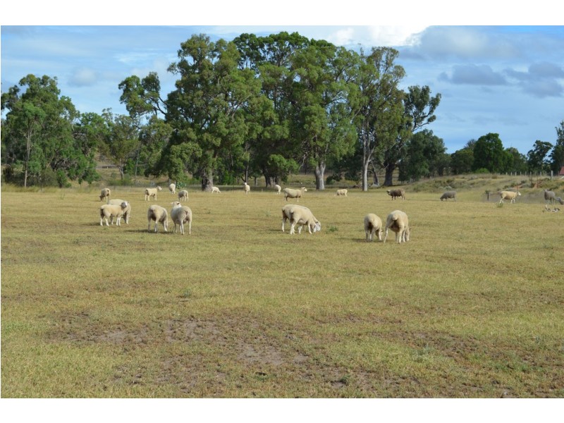 Karara QLD 4352