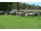 Karara QLD 4352
