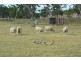 Karara QLD 4352