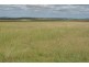 133 Priors Road, Kingsthorpe QLD 4400